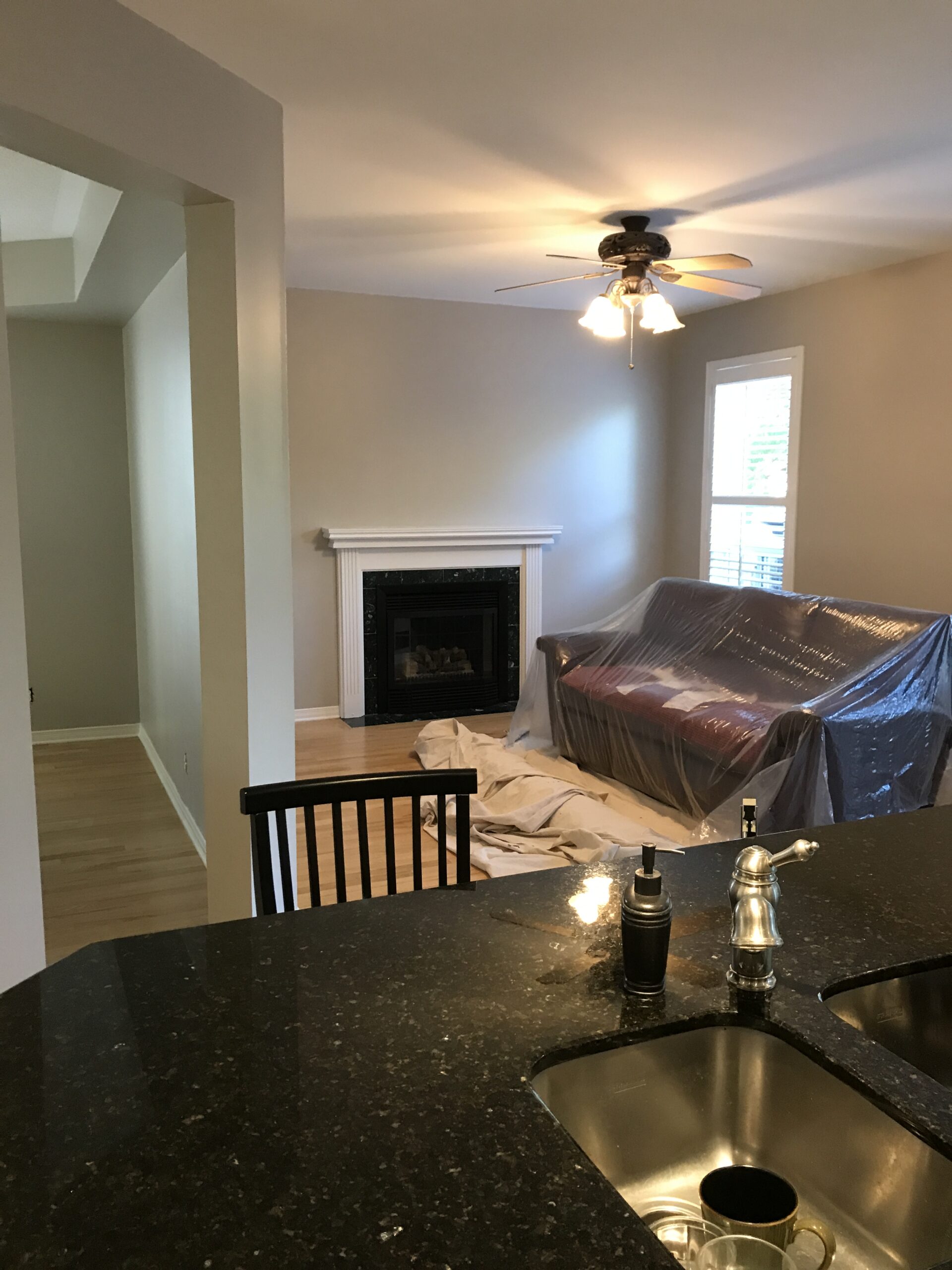 Condo painting project in Ottawa
